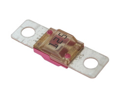 AMI / MIDI Fuse - 125 Amp