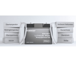 LiFePO4 Battery 100Ah 12V, self-heating with bluetooth-comunication -  RENOGY PRO
