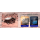 LiFePO4 Batterie 100Ah 12V, beheizt mit Bluetooth -  RENOGY PRO