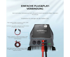 MPPT Solar Charge Controller 12V 60A - RENOGY REGO