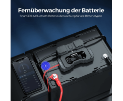 Renogy Battery Shunt 300 mit Bluetooth