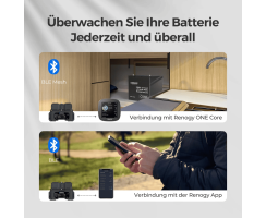 Renogy Battery Shunt 300 mit Bluetooth