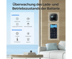 Renogy Battery Shunt 300 mit Bluetooth